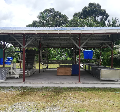 Lemantak 01 - Craun Research Sarawak