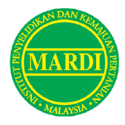 Strategic - Mardi