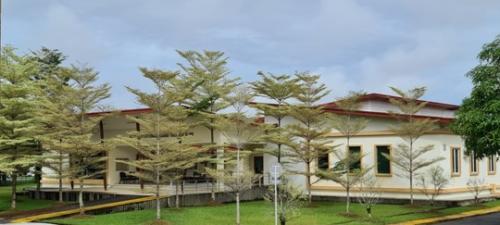 Colonal planting-01