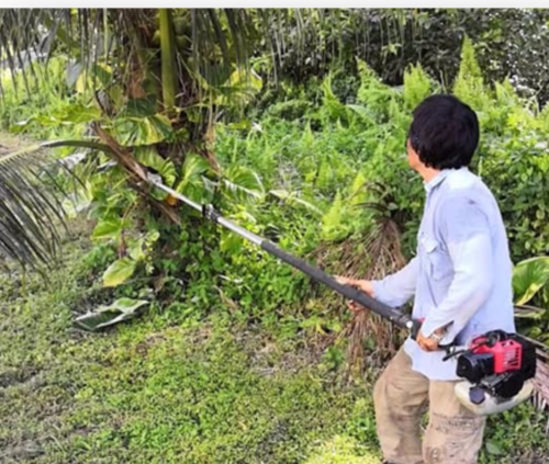 Dead Frond Clearing Tool 01