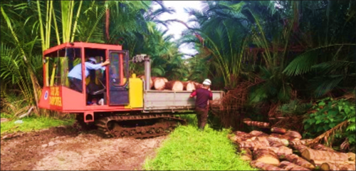 Sago Log Transporter 03